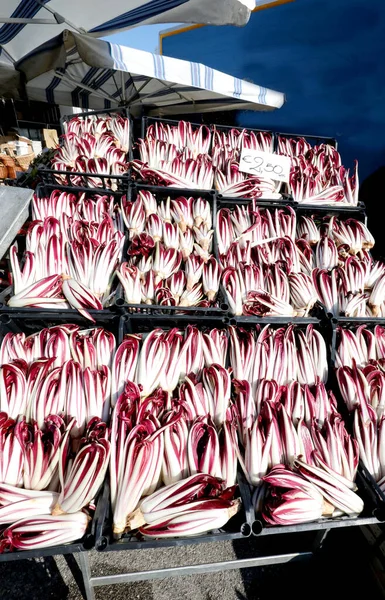 Caixas de chicória vermelha típica do norte da Itália chamado RADICCHIO — Fotografia de Stock
