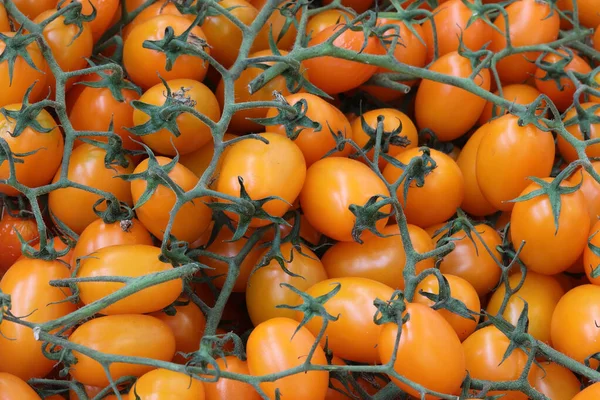 Trauben orangefarbener Tomaten — Stockfoto