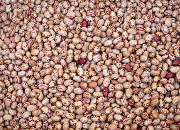 Zázemí fazolí pinto kvality — Stock fotografie
