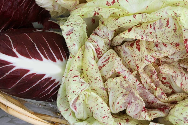 Chicocry rosso e lattuga fresca — Foto Stock