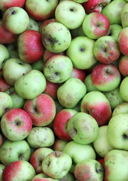 Fundo de maçãs verdes e vermelhas — Fotografia de Stock