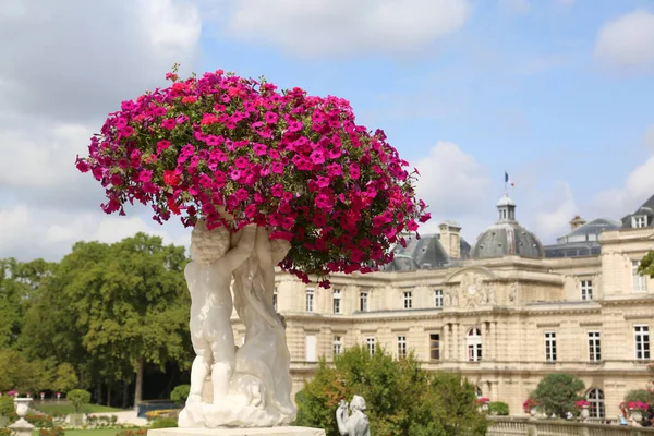 Parijs, Frankrijk - 21 augustus 2018: bloemen op het park van luxembou — Stockfoto