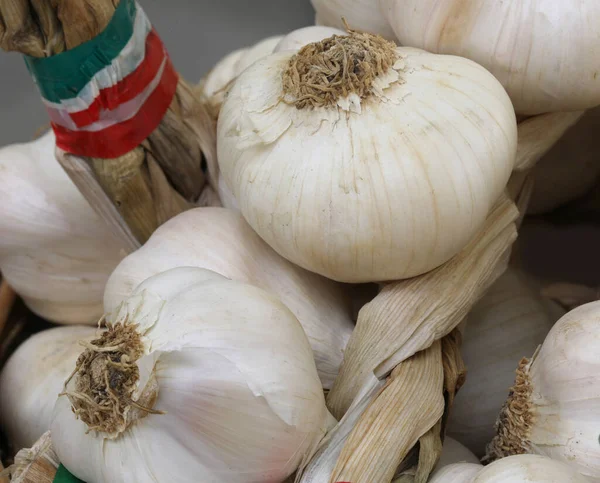 意大利的白色有机大蒜丁香 — 图库照片