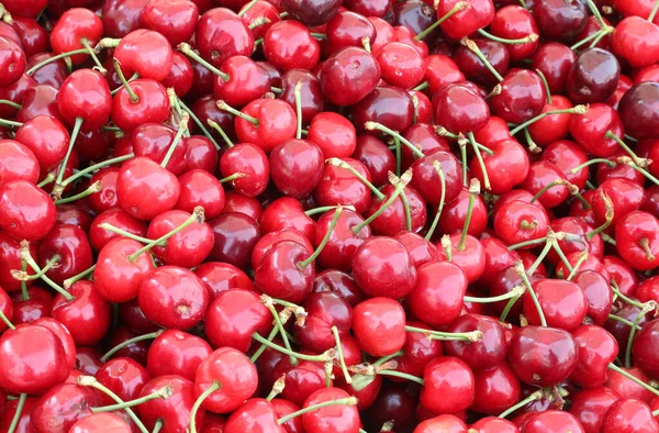 Fondo rojo de muchas cerezas maduras — Foto de Stock