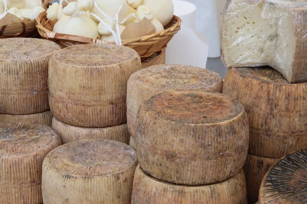 Many pieces of seasoned cheese — Stock Photo, Image