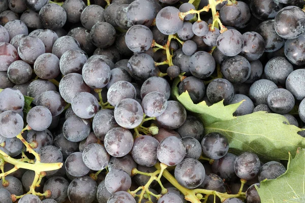 Fondo de uvas rojas — Foto de Stock