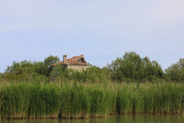 Reed River Old House Europe — Stock Photo, Image