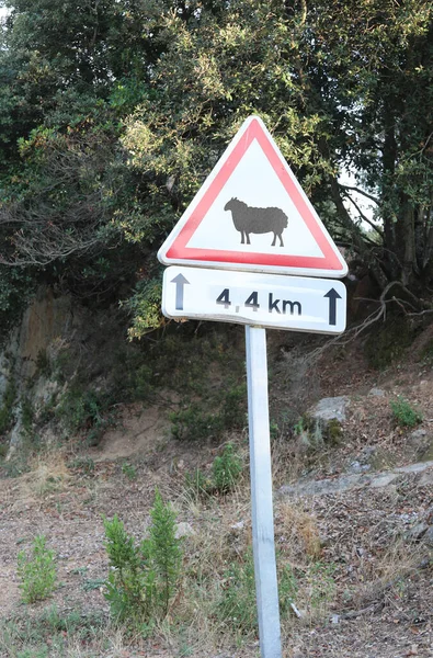 Panneau Signalisation Avec Dessin Mouton Sur Route — Photo