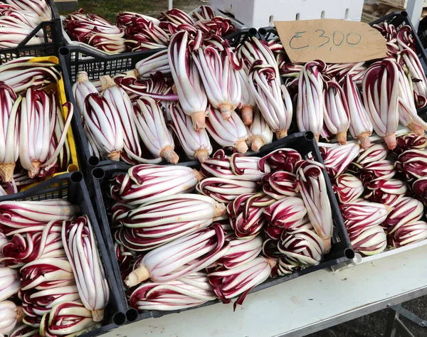 冬に果物や野菜の市場で販売するために 北東部やイタリアの典型的な後期ラディッキオと呼ばれる赤いレタスでいっぱいの箱 — ストック写真