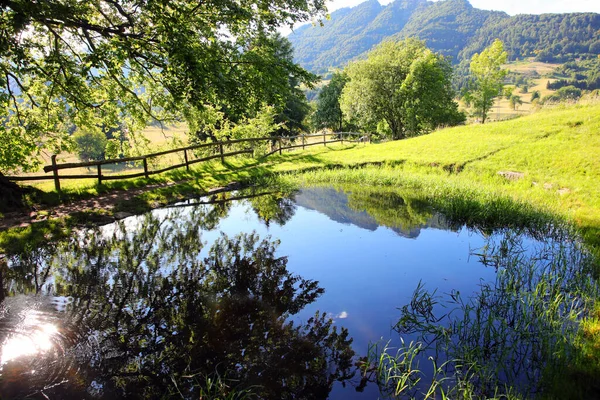 Krásné Horské Panorama Odrazem Hor Malém Jezírku Létě — Stock fotografie