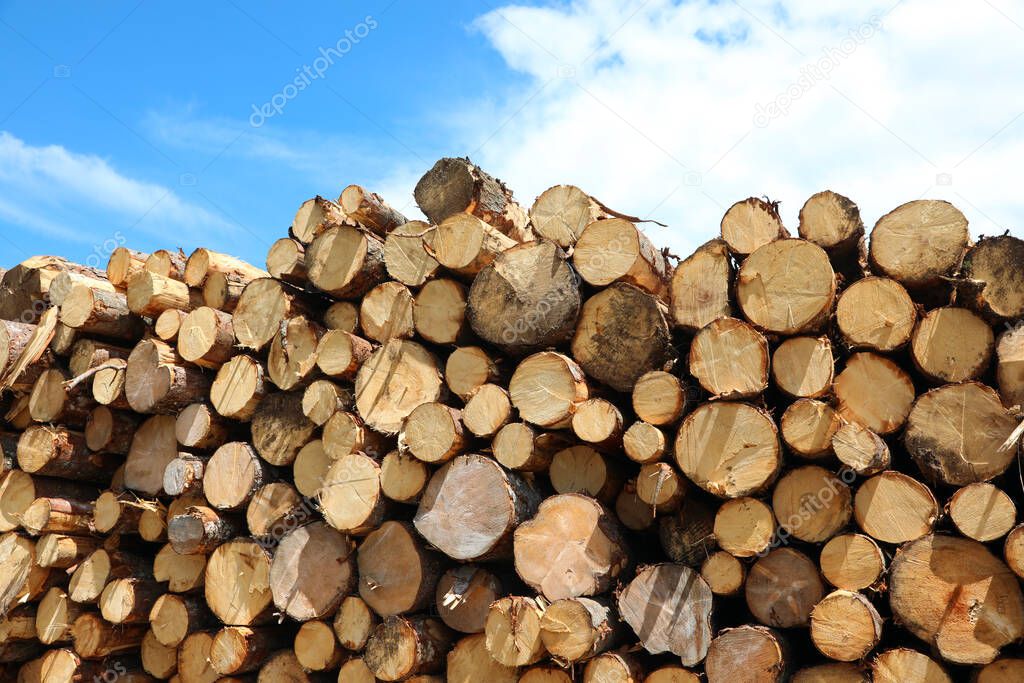 pile of logs cut by lumberjacks during the deforestation of the forest for construction activities