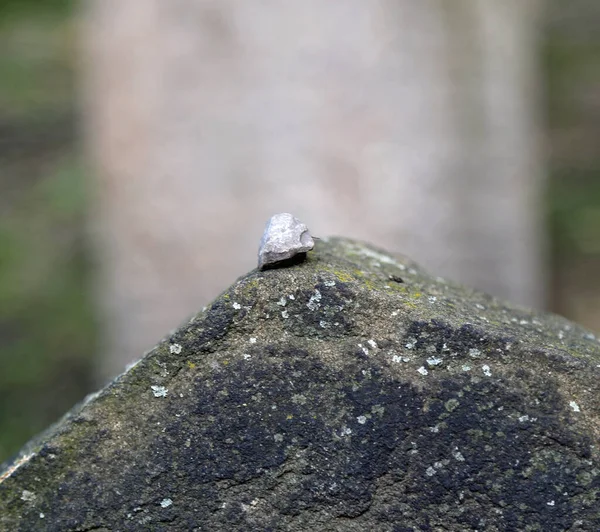 Pedra Acima Lápide Cemitério Judaico Capital — Fotografia de Stock