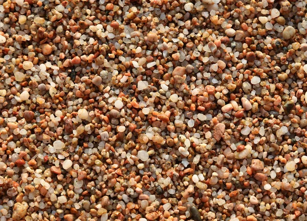 Duizenden Kleine Kiezeltjes Het Strand — Stockfoto