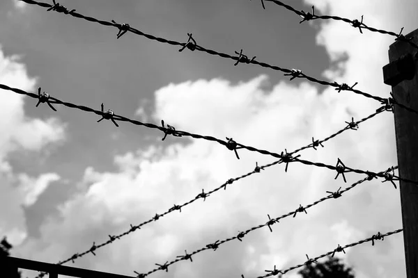 Hapishanenin Dikenli Telleri Dramatik Siyah Beyaz Efektli Arka Planda Gökyüzü — Stok fotoğraf