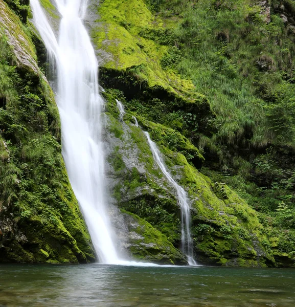 Waterval Van Zuiver Zoet Water Midden Het Bos Zonder Mensen — Stockfoto