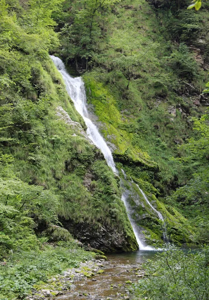 Cascada Agua Dulce Pura Medio Del Bosque Entorno Salvaje Contaminado — Foto de Stock