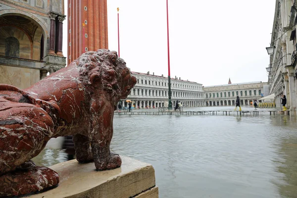 意大利威尼斯 2019年11月12日 冬季涨潮时圣马克广场的狮子雕像 — 图库照片