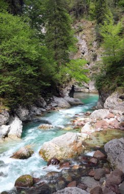 Yaz aylarında kayaların arasından akan temiz suyla bir dağ deresinin kirlenmemiş çevresi.