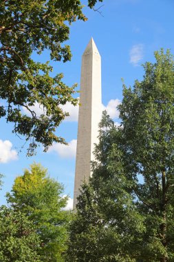 Güneşli bir günde ağaçlarla çevrili Washington 'daki The Mall' da uzun bir dikilitaş.