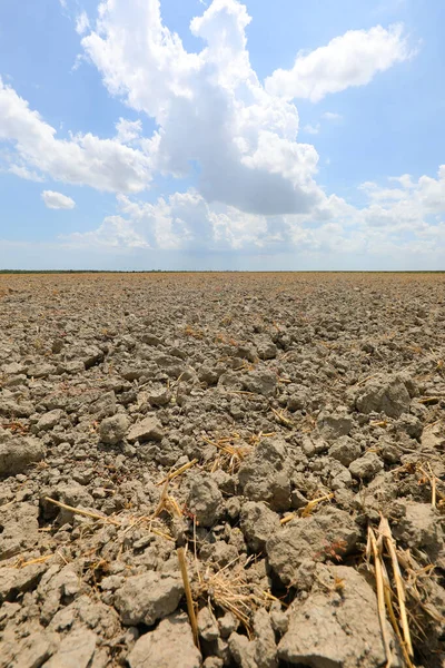 Kurak bir yaz arazisi. Kurak ve çatlamış topraklar. İnsanlar olmadan engin düzlüklerdeki kuraklık yüzünden.