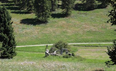 Dağlardaki bir çayırda terk edilmiş taş kalıntısı.