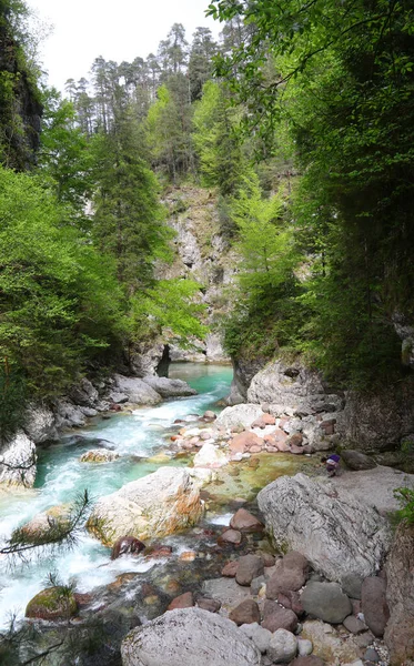 Dağların temiz suları yazın kayalar ve ağaçlar arasında akar.