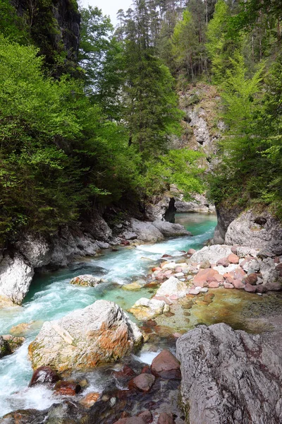 Ormanın ortasında akan temiz suyla birlikte yazın dağlarda insanlar olmadan.