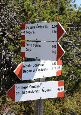 Kuzey İtalya 'da Alpler' de takip edilecek doğru yolu gösteren ok ve konum ve dağların yer aldığı işaret direği.