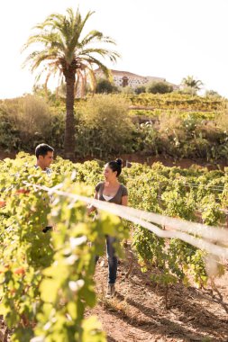 İki kişi bir konuşmayı güneşli bir üzüm bağları ayakta
