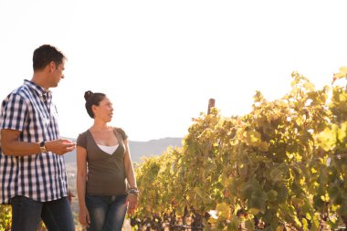 Güneşli bir günde onların etkinlikler için bağ dışında zaman geçirmek güzel genç çift