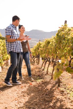 Mavi jeans ve rahat üstleri ve birbirinizle konuşmak winelands duran bir kadın ve erkek