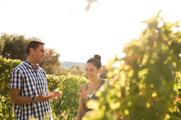 Two people having a chat in the vineyards on a bright day with the sun filtering through the leaves