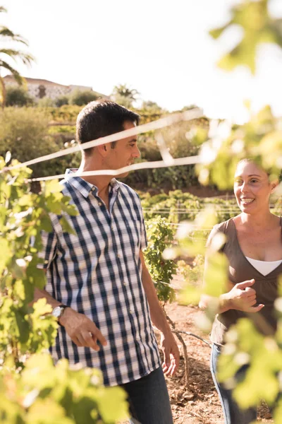 Young man and woman in casual clothing talking in the vineyards on a beautiful sunny day