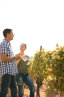 Kadın ve üzüm bağları kot pantolon ve rahat üstleri giyen parlak güneşli bir günde konuşan adam