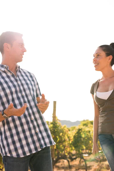 Güneşli bir günde winelands dışında rahat giyim bir kadına söz kareli gömlekli adam