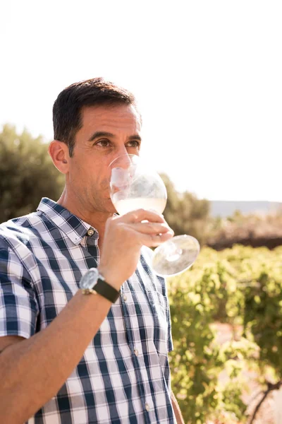 Man standing in a vineyard sipping from a glass of white wine whilst he stares into the distance pensively
