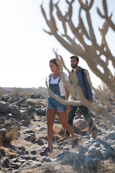 Pareja Caminando Través Desierto Más Allá Árbol Cactus Día Soleado — Foto de Stock