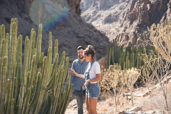 Mujer Hombre Mirando Cactus Desierto Mientras Están Parados Camino Rocoso — Foto de Stock