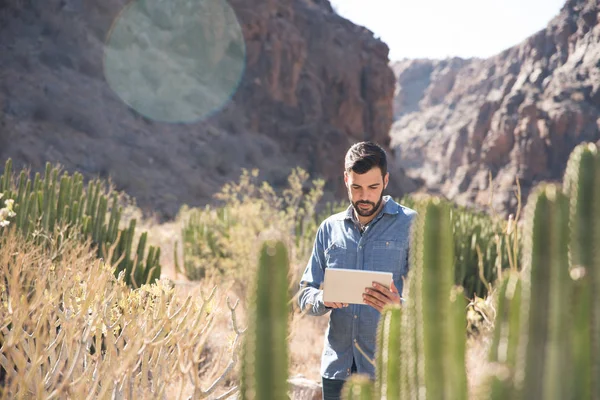 Man standing next to a cactus on a mountain path looking down at a pc tablet that he is holding