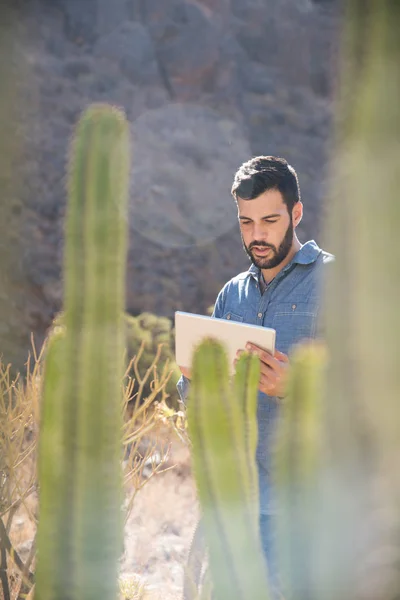 Man standing behind a cactus next to a mountain side using a pc tablet