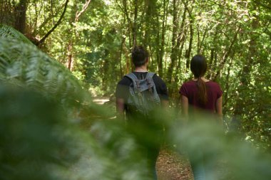 Ormanda genç bir çiftin arka görünümü