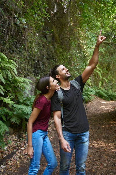 Pareja joven de pie en un bosque — Foto de Stock