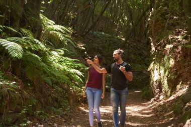 Bir yol boyunca yürürken bir ormanda büyük ağaç eğrelti otları işaret genç adam