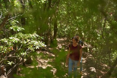 Genç, çekici bayan bir ormanda ağaçlar ve yemyeşil arasında yürüyor