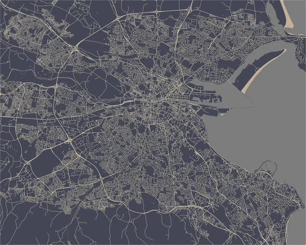 Vektorkarte Der Stadt Dublin Irland — Stockvektor