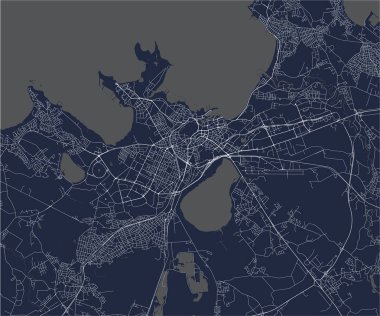 vektör haritası Tallinn, Estonya