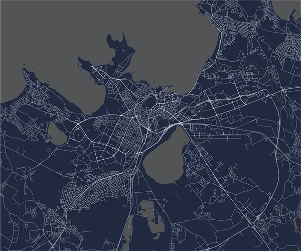 Vector Plattegrond Van Stad Van Tallinn Estland — Stockvector