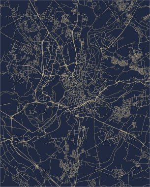 Vilnius, Litvanya'nın şehrin vektör harita