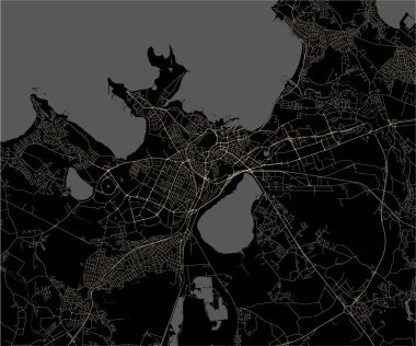 vektör haritası Tallinn, Estonya