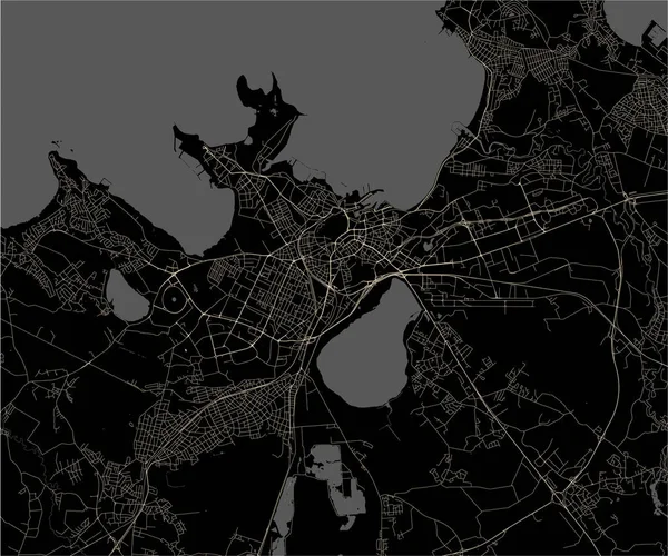 Mapa Vetorial Cidade Tallinn Estónia —  Vetores de Stock